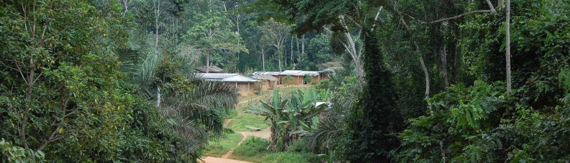 village de forêt afrique