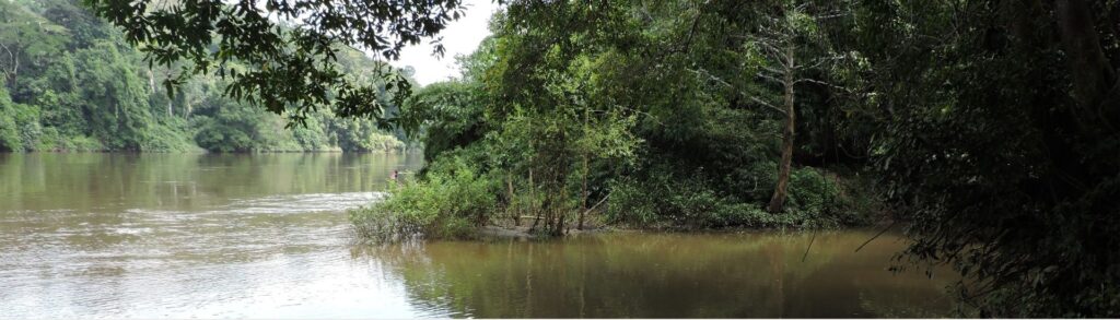 Fleuve Ngoko au Cameroun (Moloundou)